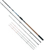 Fishing Rod Brain Scout 3.60 - 3.90 m / 80 - 130 g
