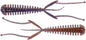 Soft Lure Select Toxic #206