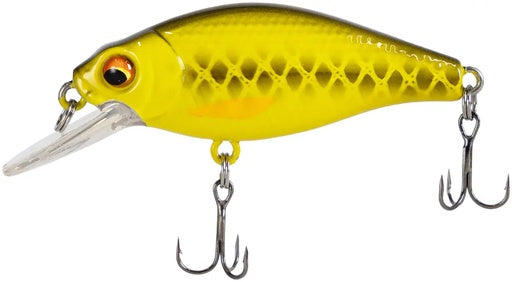 X-Fish Chipotel
