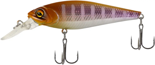 X-Fish Robber