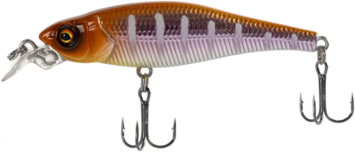 X-Fish Dude 70SP