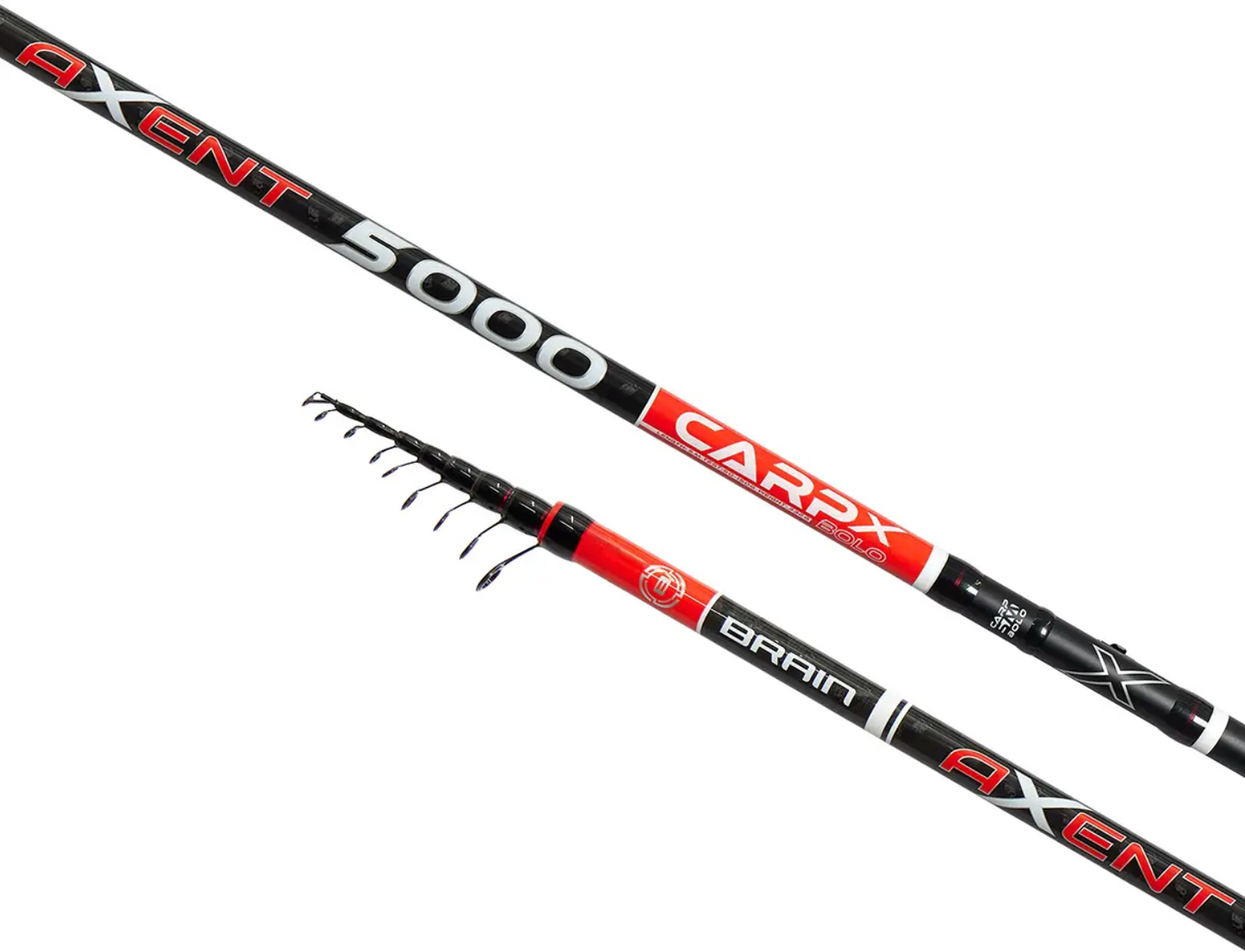 Fishing Rod Brain Axent Carp X Bolo