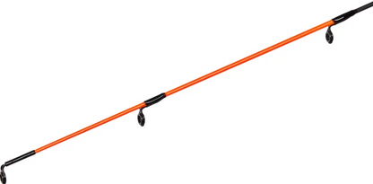 Rods Brain Classic Carp SE