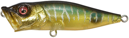 Megabass PopX F 64mm 7.0g Gin Tonic Tiger