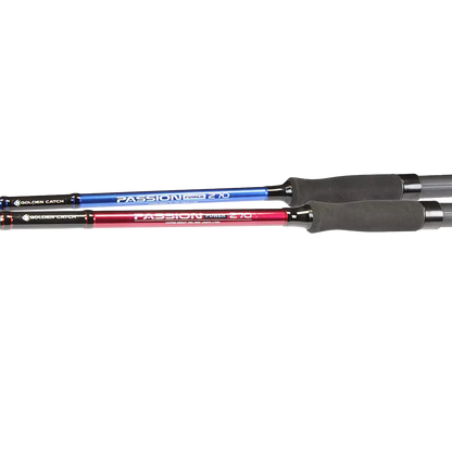 Golden Catch Rod Passion Power 2.40- 3.00 m / 40-180g