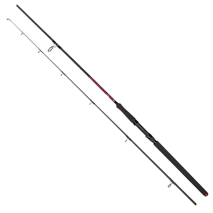 Golden Catch Rod Passion Power 2.40- 3.00 m / 40-180g