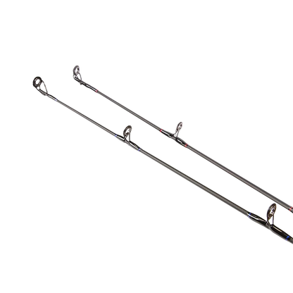 Golden Catch Rod Passion Power 2.40- 3.00 m / 40-180g