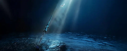 Favorite Blue Bird 2 Spinning Rod