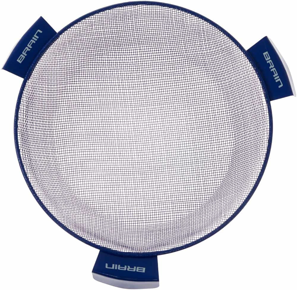 Brain Sieve